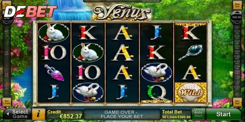 Venus Casino Venus Casino